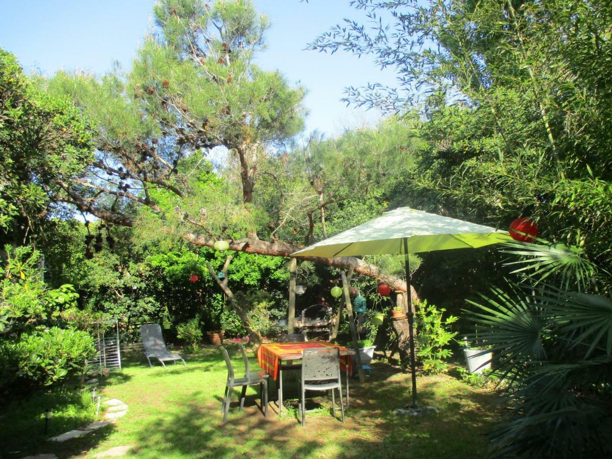 Jardin Et Bambous, Studio Cosy, Classe 2 Etoiles Marseillan  Zewnętrze zdjęcie