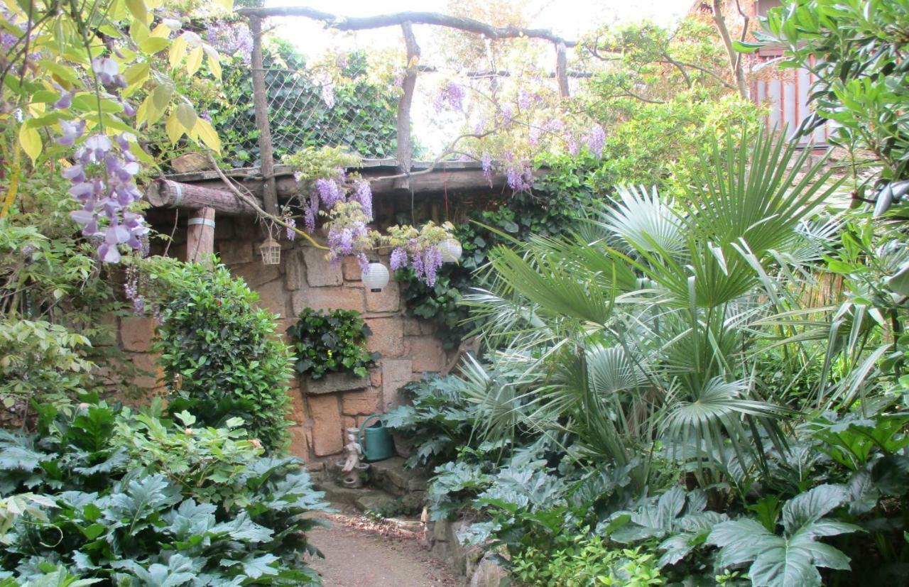 Jardin Et Bambous, Studio Cosy, Classe 2 Etoiles Marseillan  Zewnętrze zdjęcie