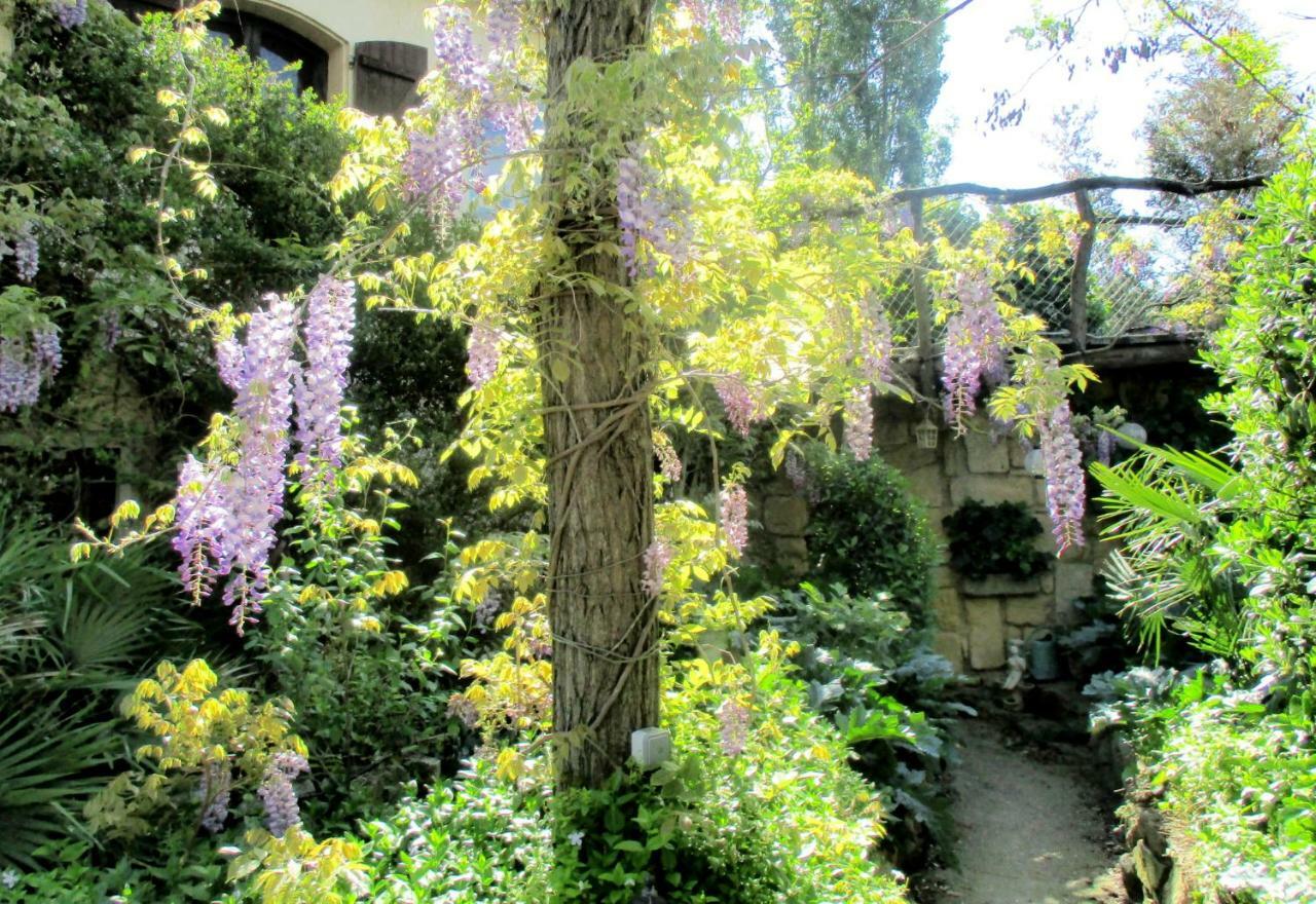 Jardin Et Bambous, Studio Cosy, Classe 2 Etoiles Marseillan  Zewnętrze zdjęcie