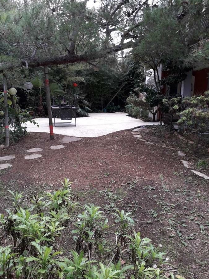 Jardin Et Bambous, Studio Cosy, Classe 2 Etoiles Marseillan  Zewnętrze zdjęcie