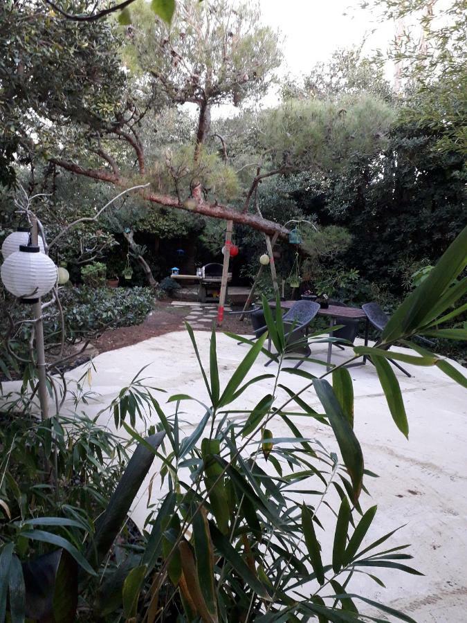 Jardin Et Bambous, Studio Cosy, Classe 2 Etoiles Marseillan  Zewnętrze zdjęcie
