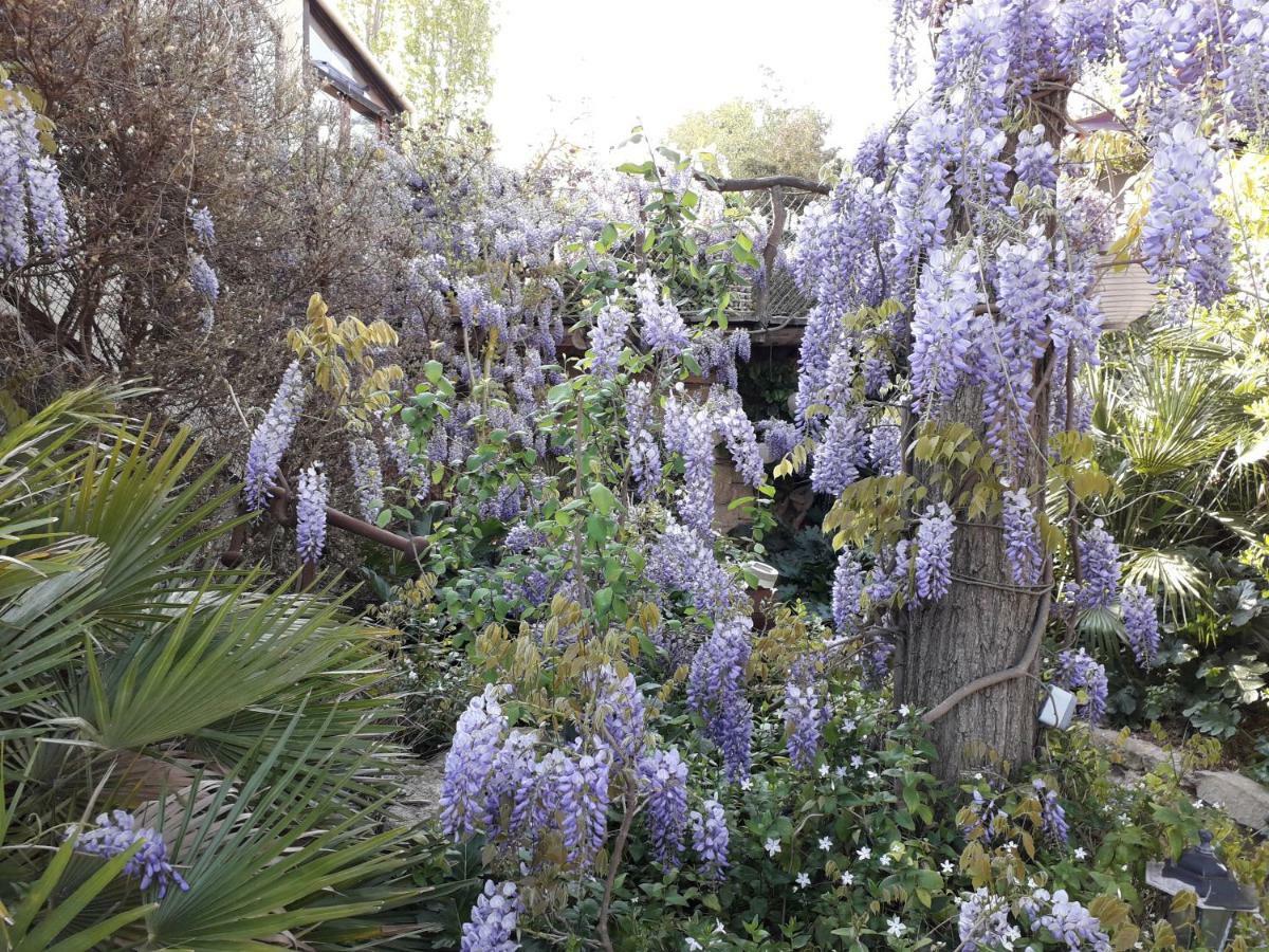 Jardin Et Bambous, Studio Cosy, Classe 2 Etoiles Marseillan  Zewnętrze zdjęcie